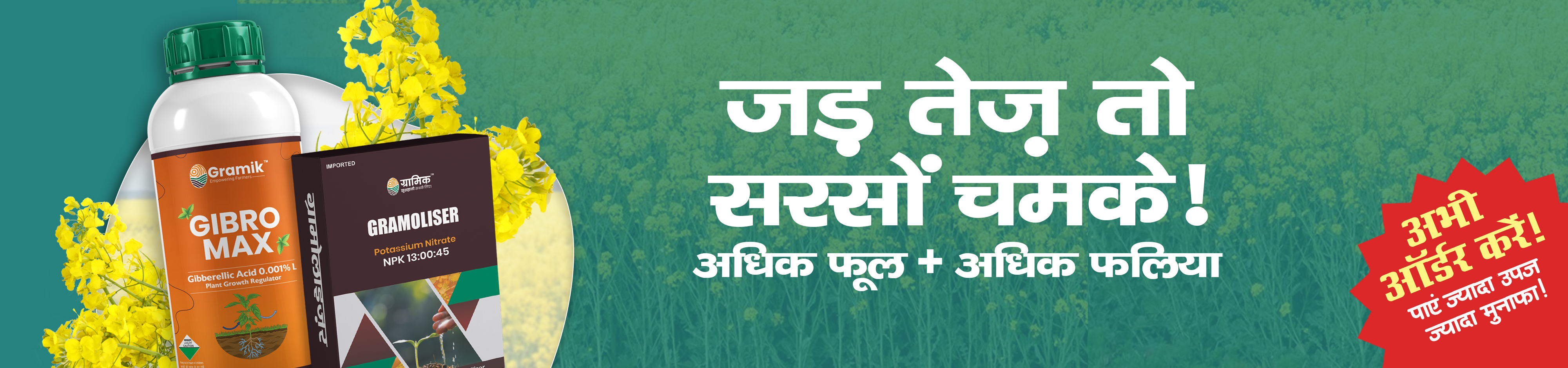 Gramoliser NPK 13:00:45 Fertilizer + Gibromax (Gibberellic Acid 0.001%) Plant Growth Regulator Combo